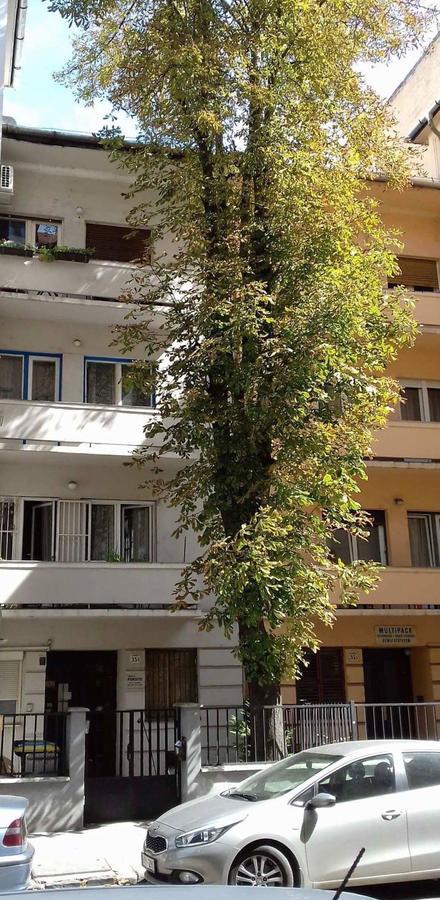 Studio Karma Budapest Exteriör bild